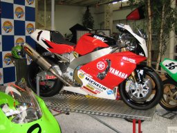 andrej_img_6533