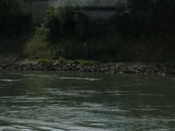 pfaelzer_img_0989